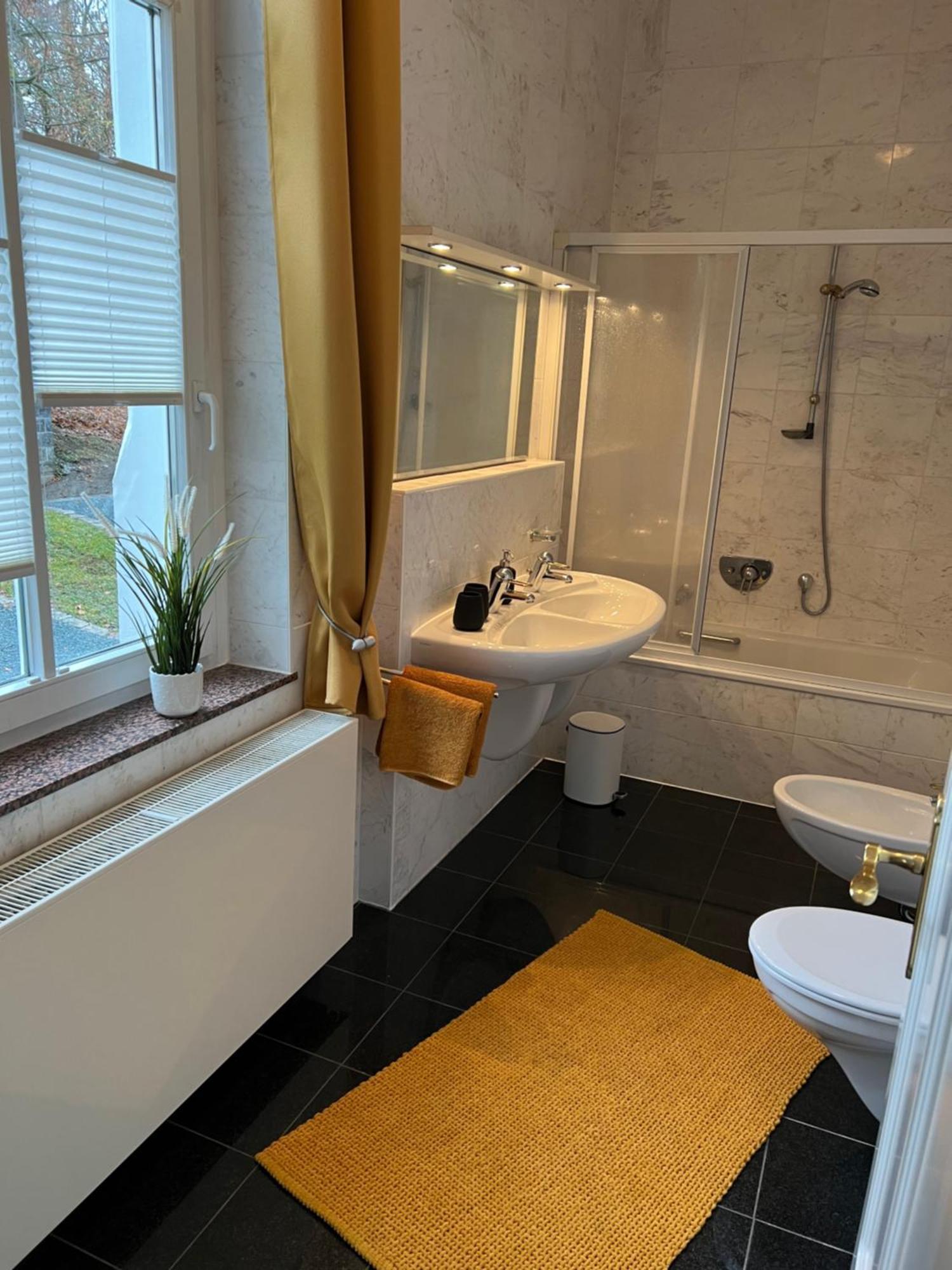 Ferienwohnung Marie Bad Elster Extérieur photo